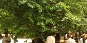 parco villa margherita manfrin