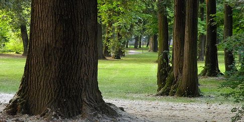 Villa Margherita