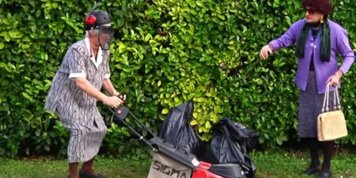 mulching sfalcio erba verde