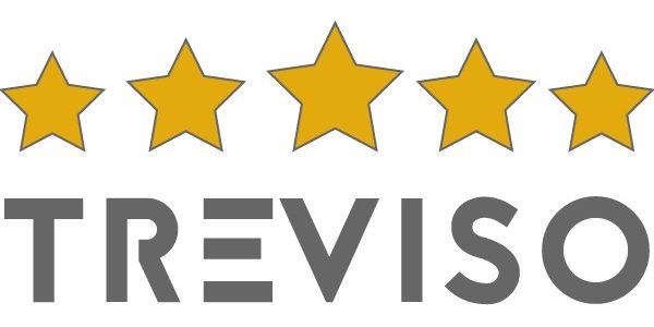logo movimento 5 stelle treviso