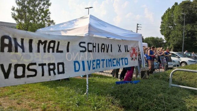 L’ENPA manifesta contro i circhi con animali a Lancenigo di Villorba