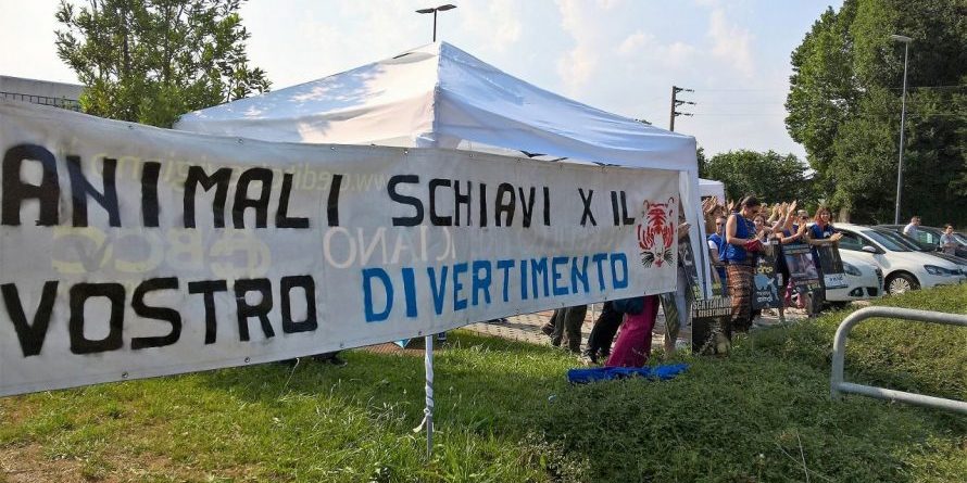 L’ENPA manifesta contro i circhi con animali a Lancenigo di Villorba