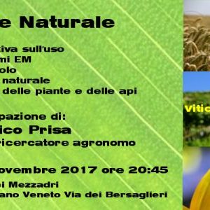 movimento5stelletreviso.it microrganismi em micronaturale agricoltura apicoltura