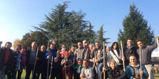 alberi per il futuro treviso giornata degli alberi movimento5stelletreviso.it alberi per il futuro treviso giornata degli alberi movimento5stelletreviso.it