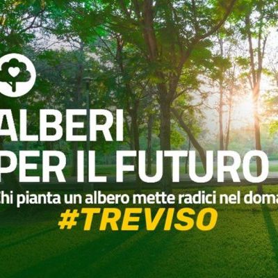 Alberi per il Futuro a Treviso