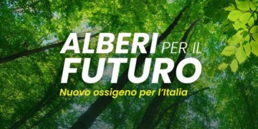 Alberi per il Futuro a Treviso Alberi per il Futuro a Treviso
