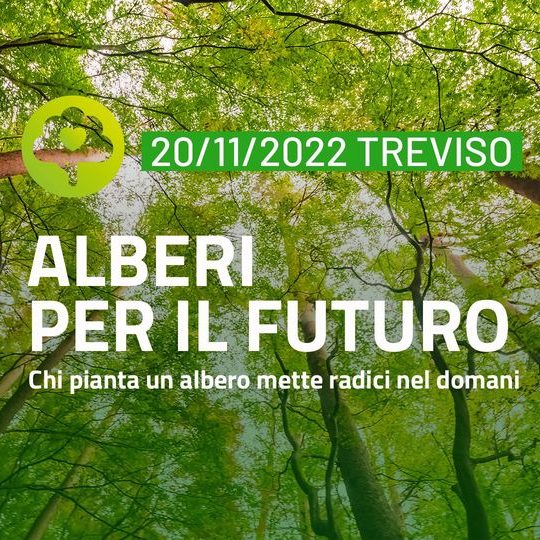 Alberi per il Futuro TREVISO 2022