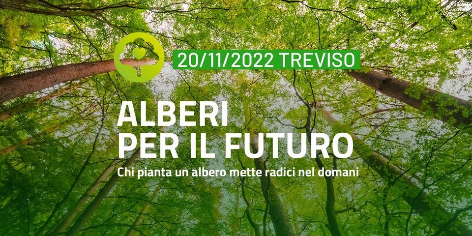 Alberi per il Futuro TREVISO 2022 Alberi per il Futuro TREVISO 2022