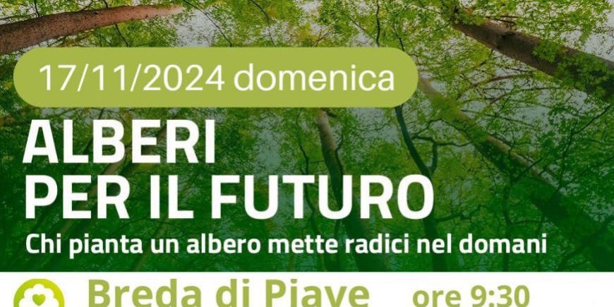 alberiperilfuturo2024treviso