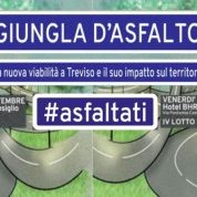Giungla d'asfalto