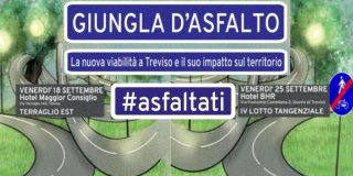 Giungla d'asfalto